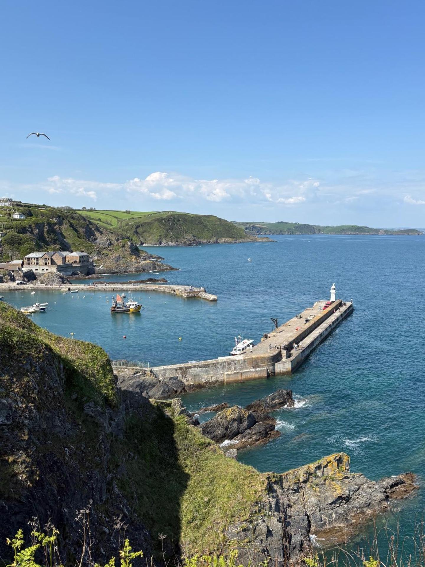 What A View Mevagissey Exteriér fotografie